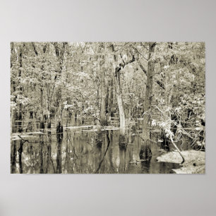 Póster Pantano de New Orleans