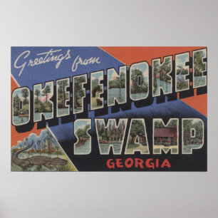 Póster Pantano de Okefenokee, Georgia - escenas grandes