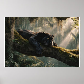 Póster Pantera negra descansando en una rama en un bosque