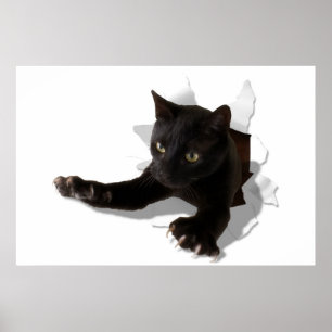 Póster pantera saltante