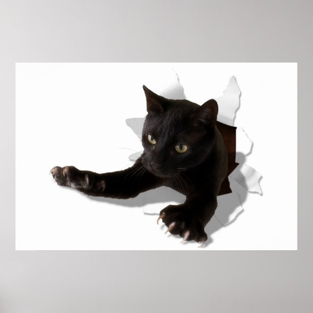 Póster pantera saltante (Frente)