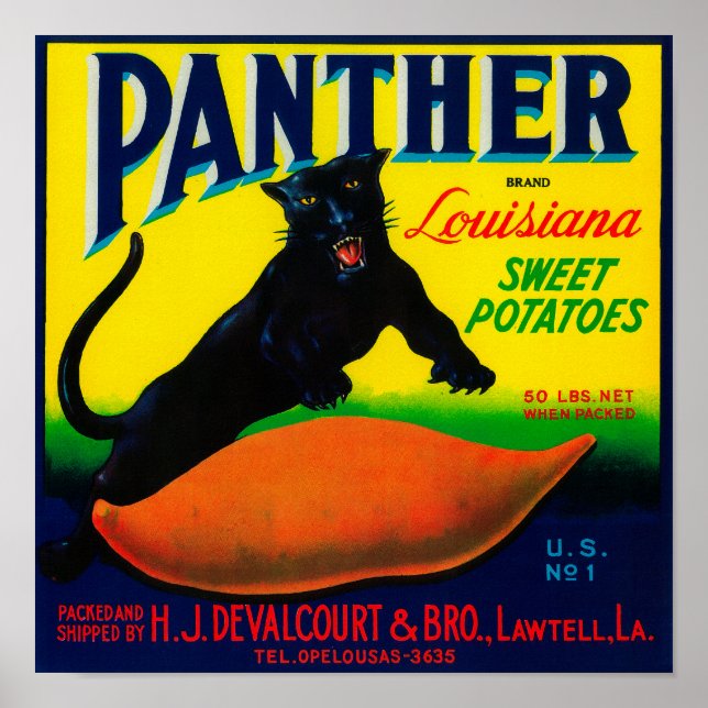 Póster Panther Yam LabelLawtell, LA (Frente)