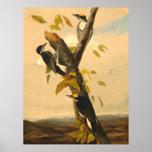 Póster Pañuelo de madera - Poster del Bella Artes Joseph