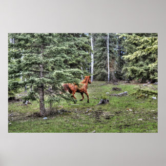 Póster Pañuelo Dun Ranch en una foto de ecuación forestal