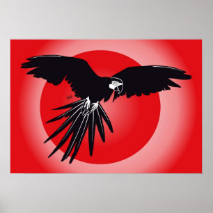 Póster Papagei Ara Poster