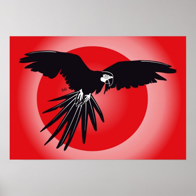 Póster Papagei Ara Poster (Frente)