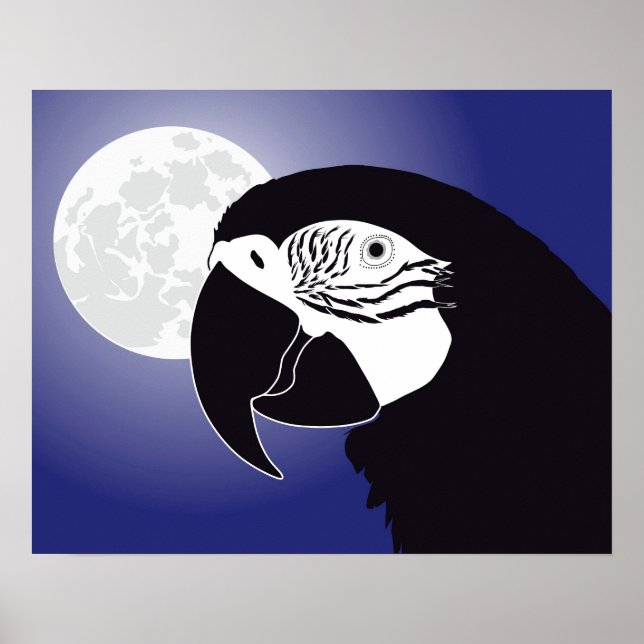 Póster Papagei Ara Poster (Frente)