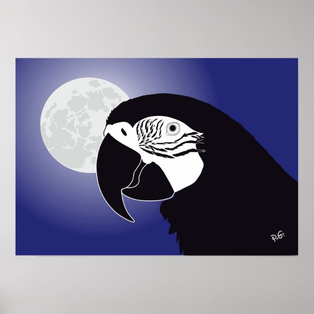 Póster Papagei Ara Poster (Frente)