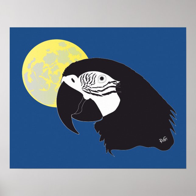 Póster Papagei Ara Poster (Frente)