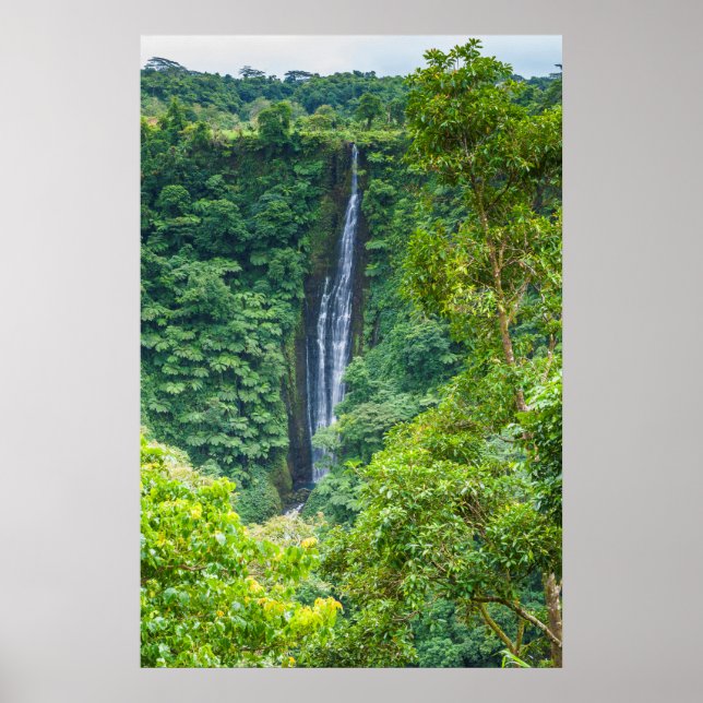 Póster Papapaitai Waterfall In Jungle (Frente)
