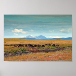 Póster Papas del Jura de Islay, Escocia