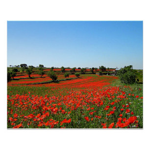 Póster Papas en flor
