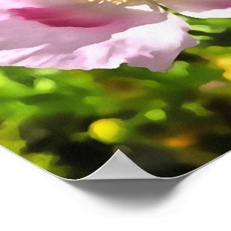 Póster Papaver Somniferum Poppy Art