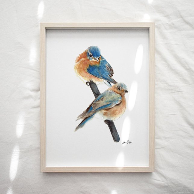 Póster Papel acuático de la pareja Bluebird (Bluebird watercolor art print from Jennifer Steffen, Jenn's Emporium. )