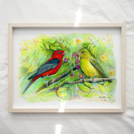 Póster Papel acuático de Scarlet Tanager Birager