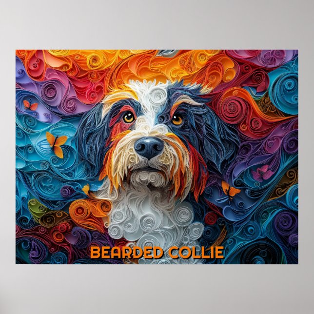Póster Papel collie en la frontera que quema retrato de p (Frente)