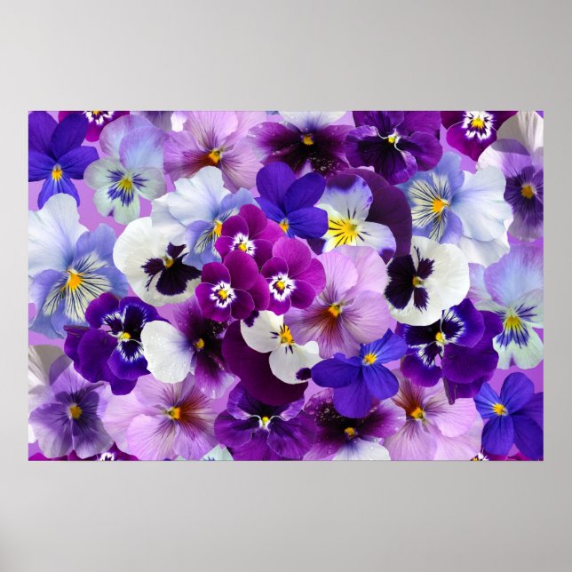 Póster Papel de fondo de escritorio de las flores de Pans (Frente)