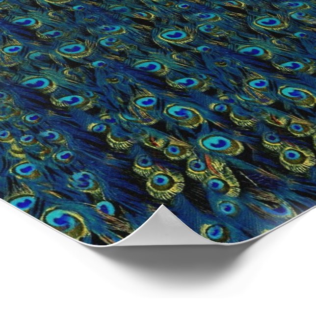 Póster Papel de fondo de pantalla de las plumas de pavo r (Esquina)