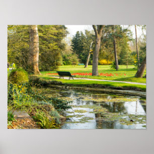 Póster Papel de Poster de serenidad (Matte)