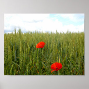 Póster Papel de Poster de valor de campo de trigo