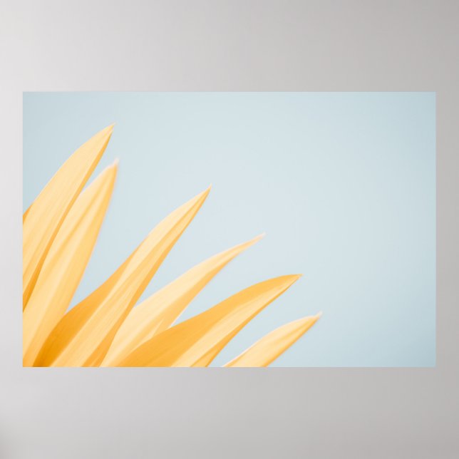 PÓSTER PAPEL GRÁFICO DE FLORES BLANCOS (Frente)