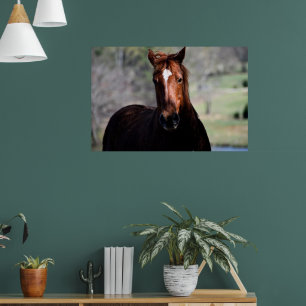 Póster Papel para cartel de valor de caballo (mate)