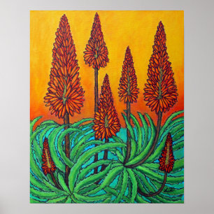 Póster Papel Poster 16x20 de bola de fuego sudafricana (m