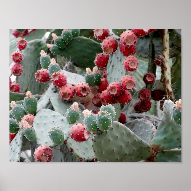 Póster Papel Poster Cactus Red Fruit Photo (Frente)