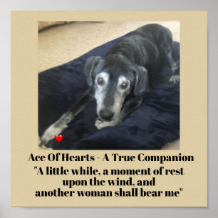 Póster Papel Poster conmemorativo de la tipografía fotogr