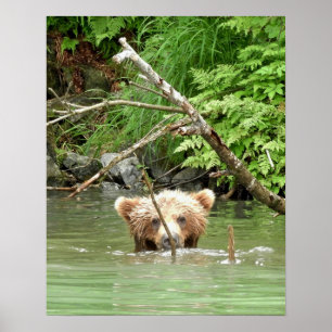 Póster Papel Poster de 16x20 (mate) de cachorro de oso pa