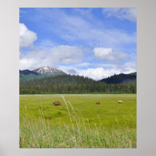 Póster Papel Poster de 20x24 (mate) de osos pardos