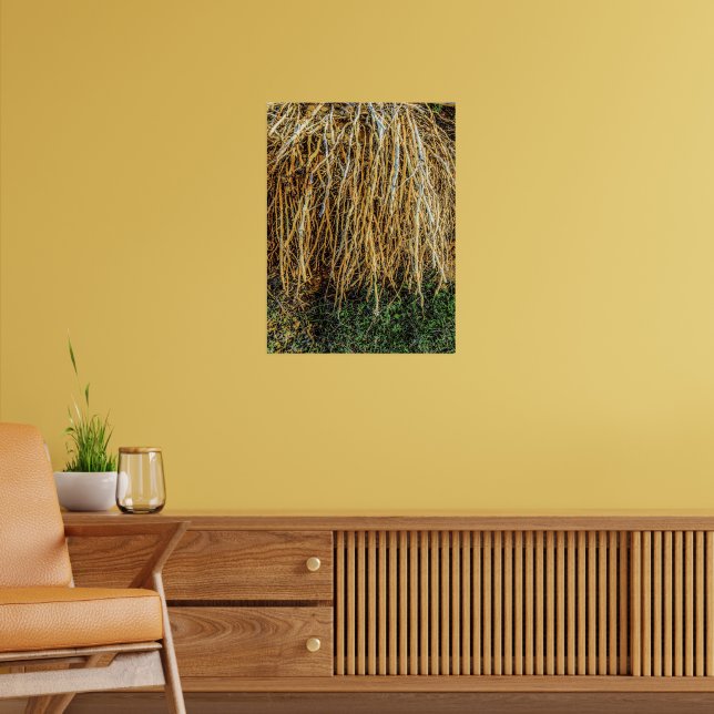 Póster Papel Poster de 3 imprentas desarraigadas (semibri (Salón 2)