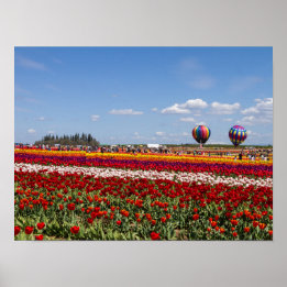 Póster Papel Poster de los tulipanes de primavera (mate)