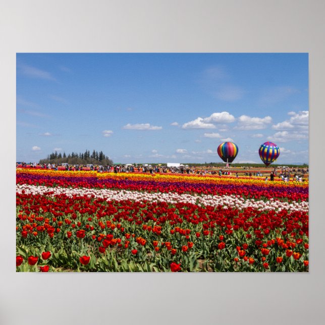 Póster Papel Poster de los tulipanes de primavera (mate) (Frente)