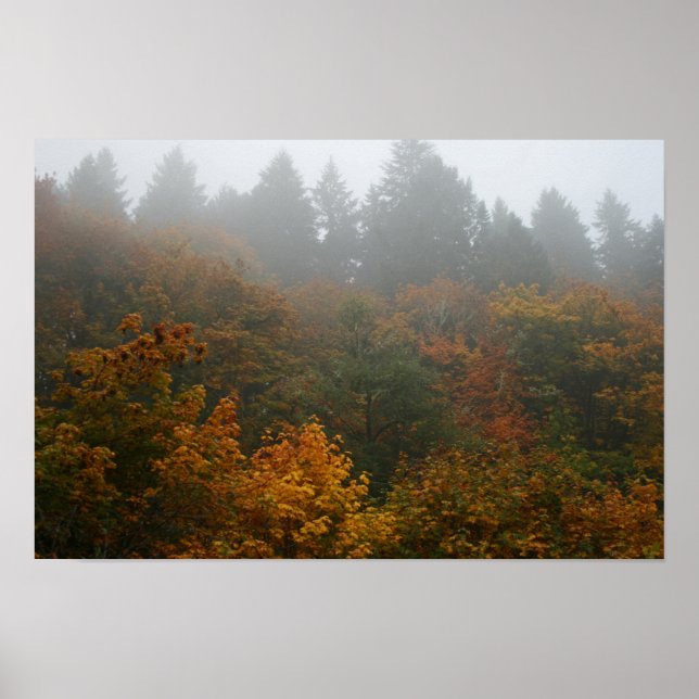 Póster Papel Poster de Serenade de Otoño (Matte) (Frente)