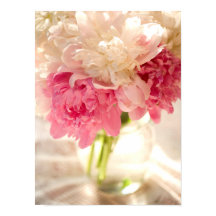 Papel Poster de valor floral rosa (mate)