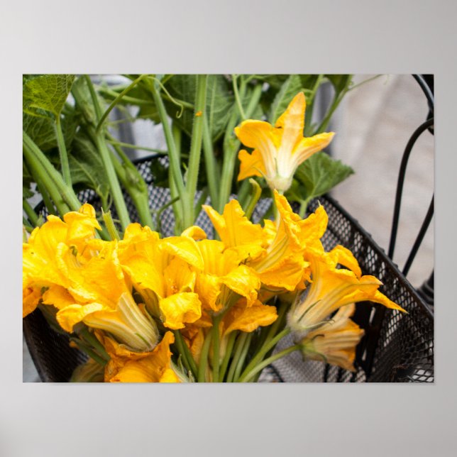 Póster Papel Poster (Matte) de las flores de cucharilla d (Frente)