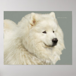 Póster Papel Samoyed de 19" x 13", de gran peso para arch