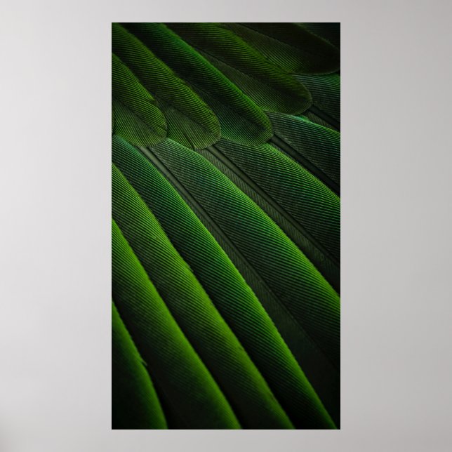 Póster Papel verde 3D (Frente)