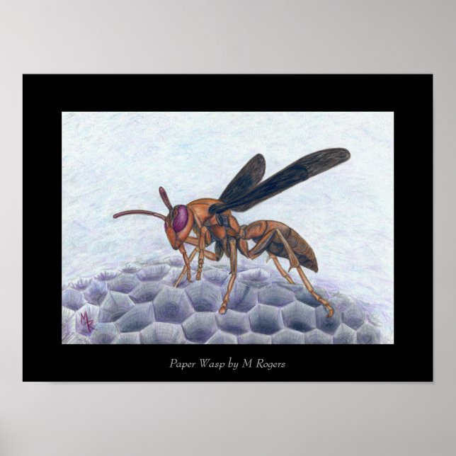 Póster Papel Wasp Art Print (Frente)