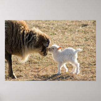 Póster Papel y su bebé