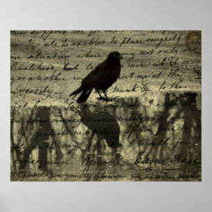 Póster Papeles De Crow Y Poe
