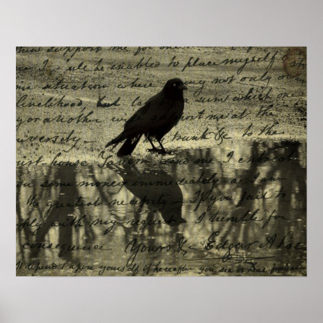 Póster Papeles De Crow Y Poe (Frente)