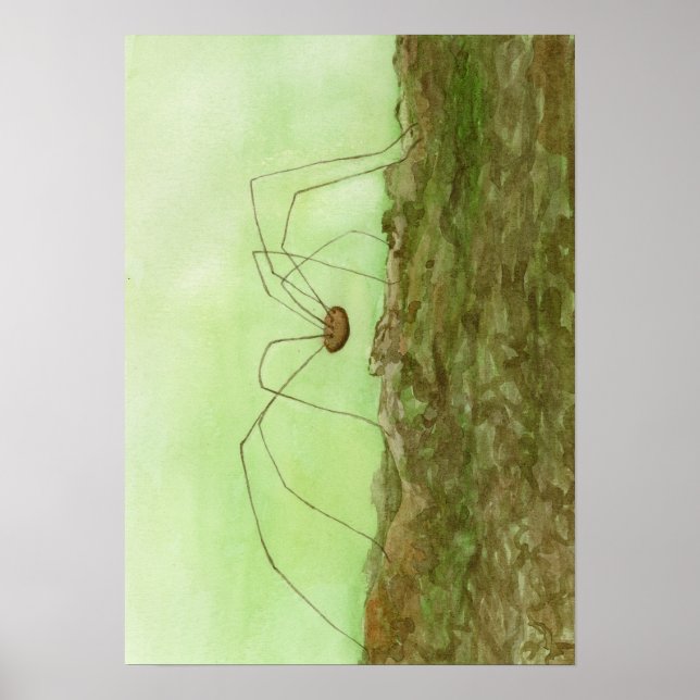 Póster Papi Long Legs (Frente)