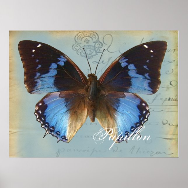 Póster Papillon bleu (Frente)