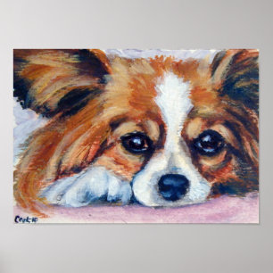 Póster Papillon Dog Print