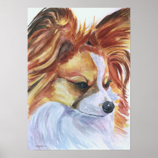 Póster Papillon Dog Print