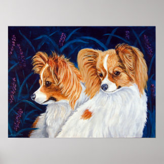 Póster Papillon Dog Wall Print