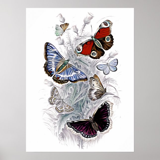 Póster papillones (Frente)