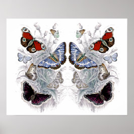 Póster papillones
